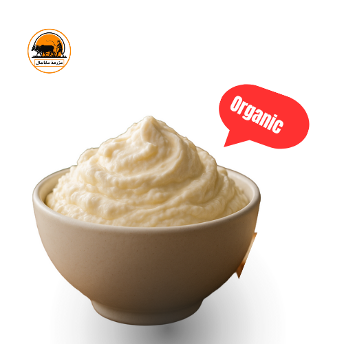 Fresh Homemade Milk Cream.