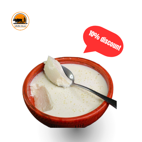 Fresh Sweets Yogurt. Dhoi.