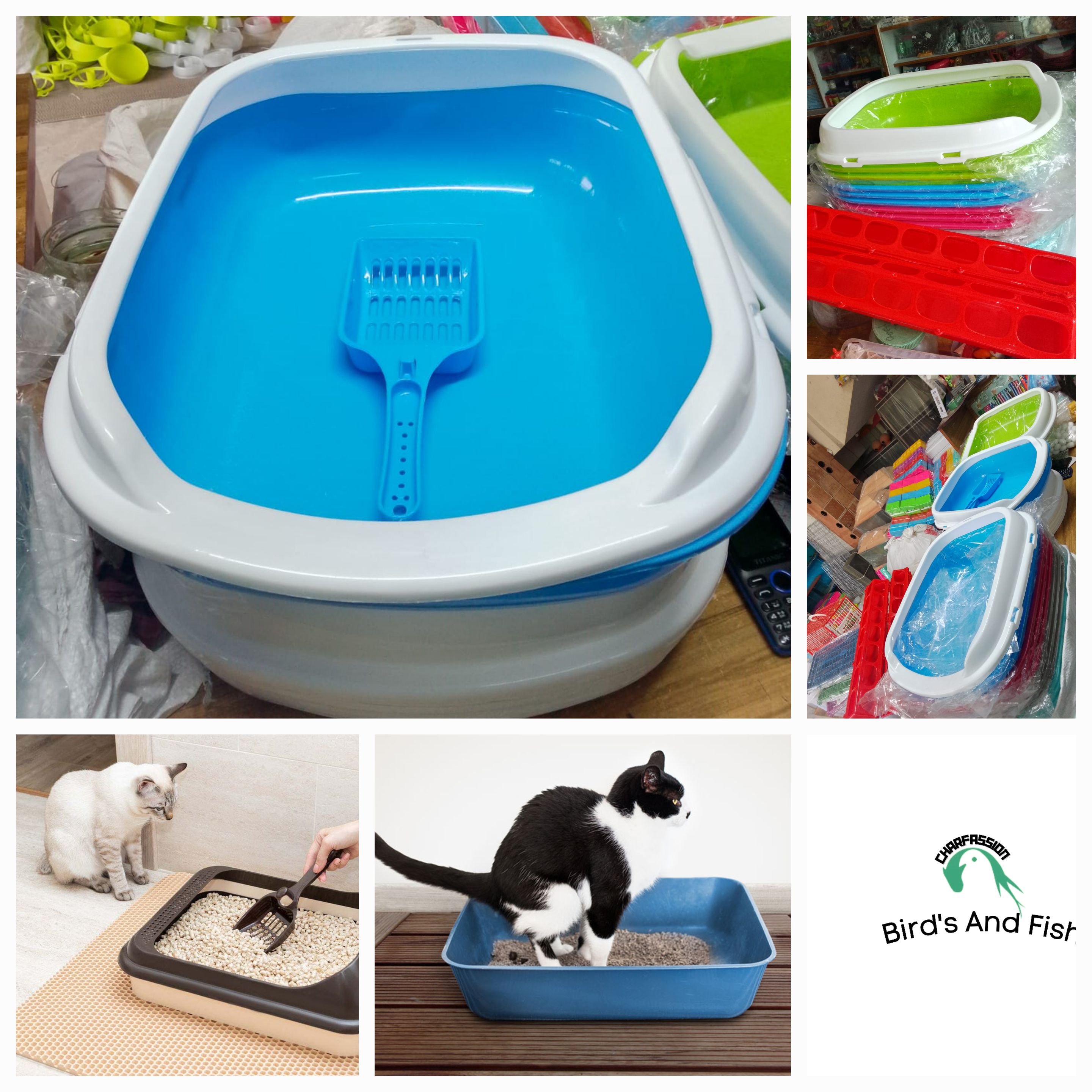 ক্যাট লিটার বক্স_img_4