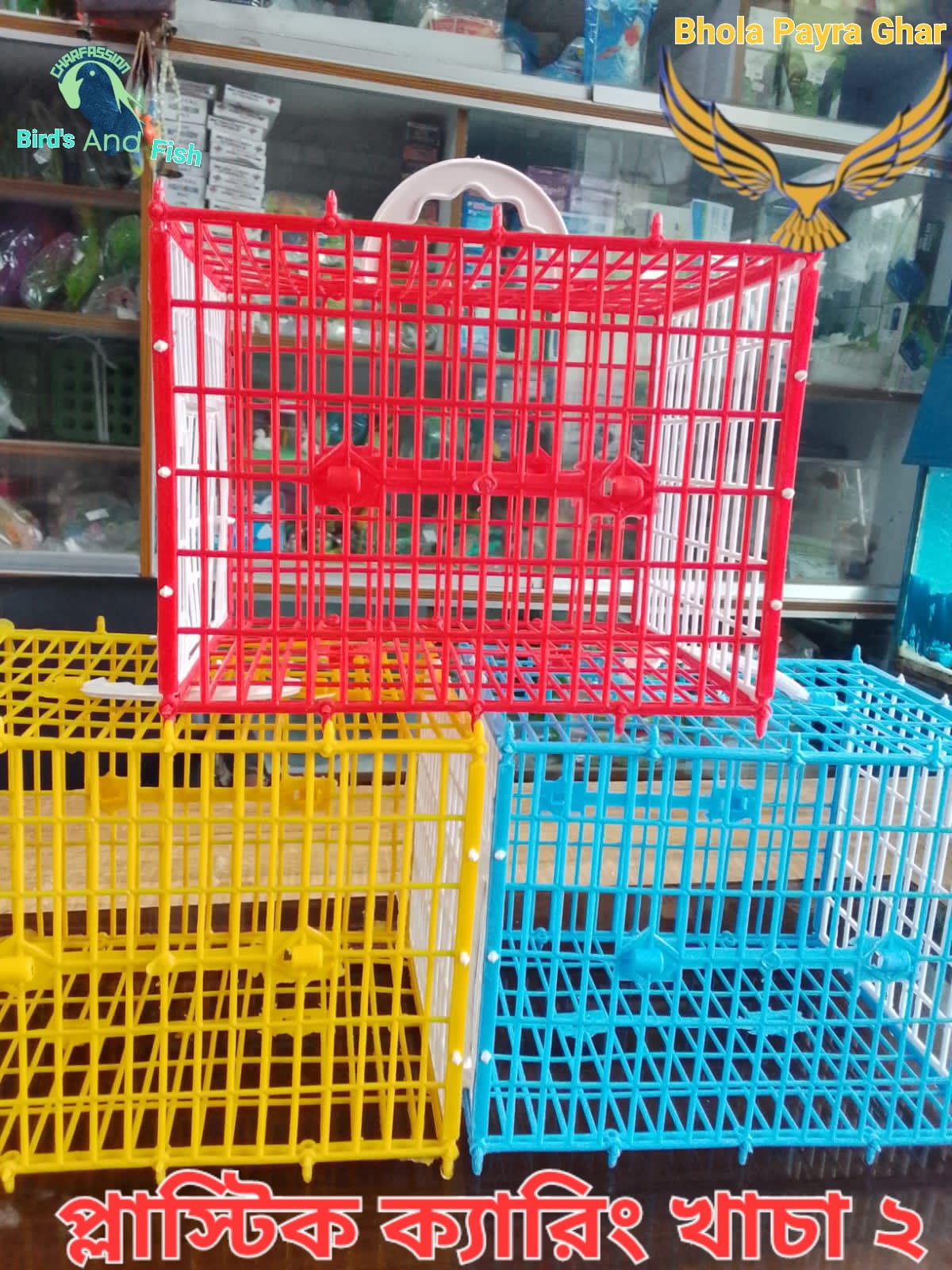 ক্যানিং কেইজ