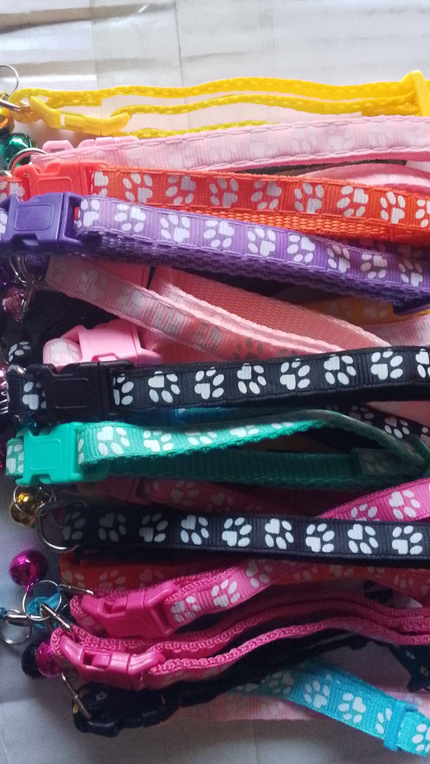 ক্যাট বেল্ট পা প্রিন্ট_img_1