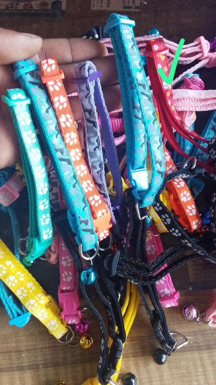 ক্যাট বেল্ট পা প্রিন্ট_img_2