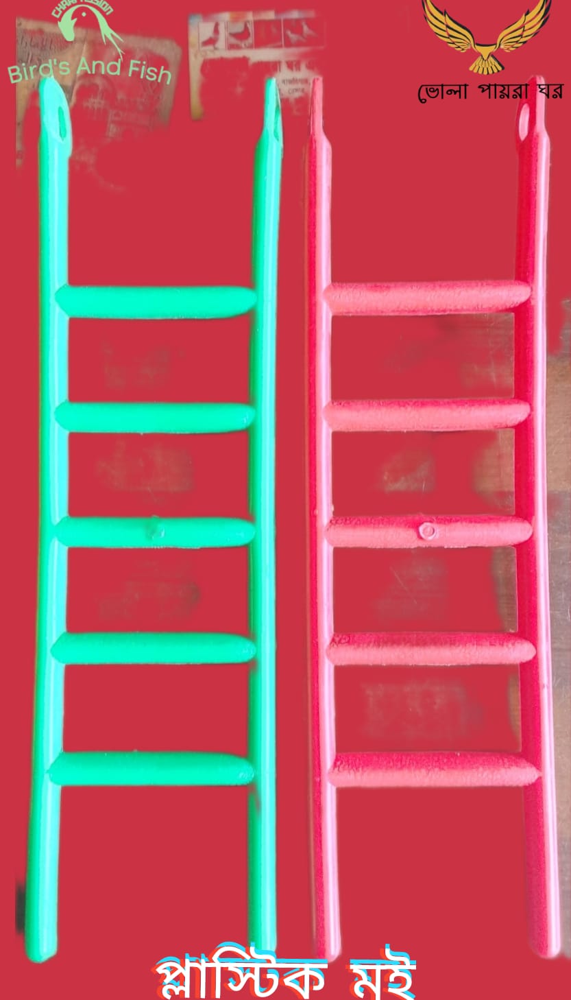 প্লাস্টিক মই_img_1