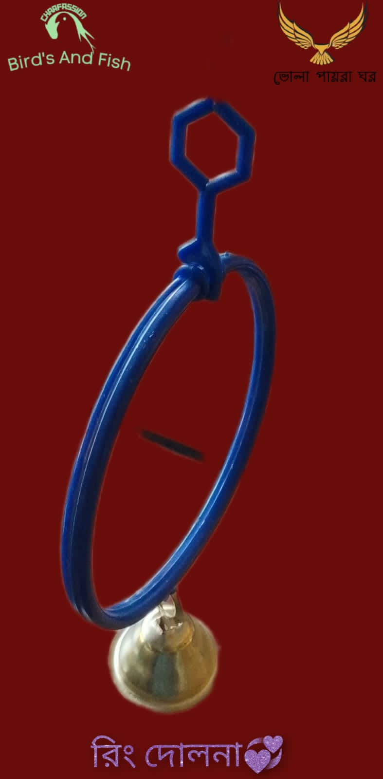 রিং দোলনা খাচার_img_2