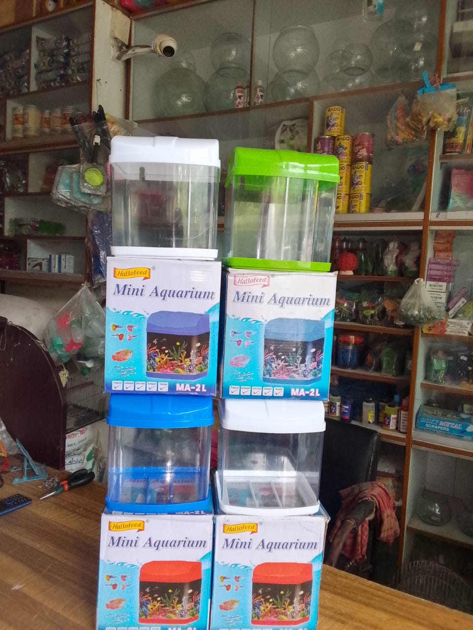 মিনি একুরিয়াম ট্যাংক বক্স_img_1