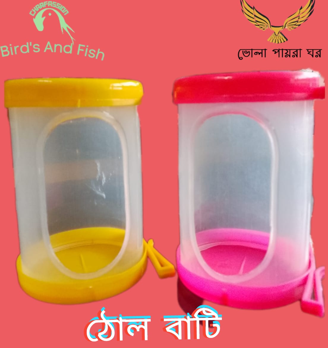 ঢোল বাটি