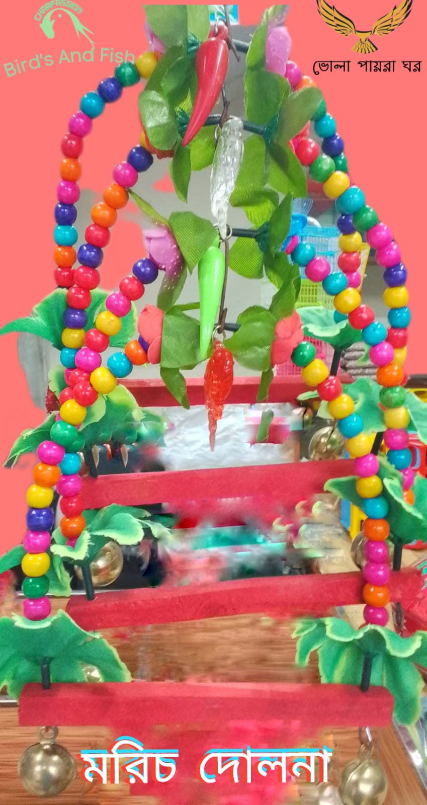 দোলনা (মরিচ)_img_1