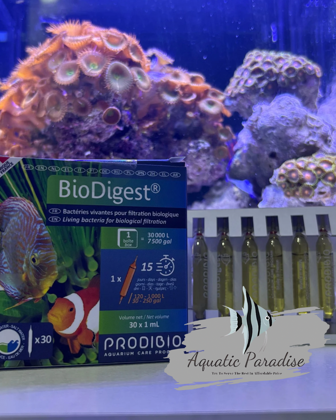 Prodibio BioDigest