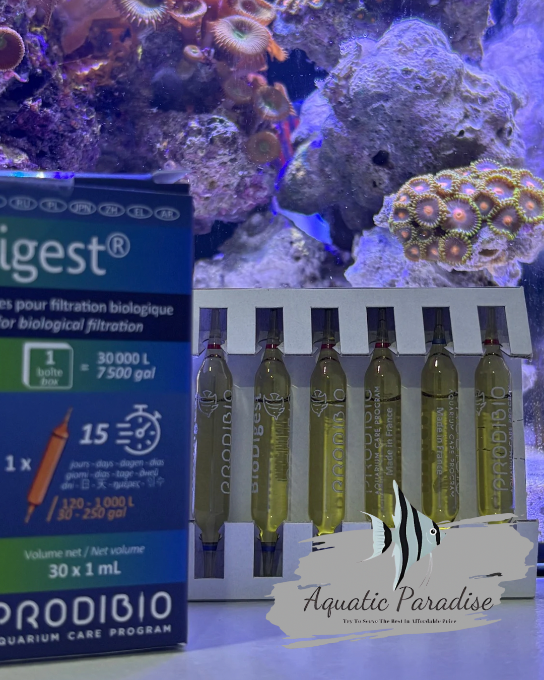 Prodibio BioDigest_img_1