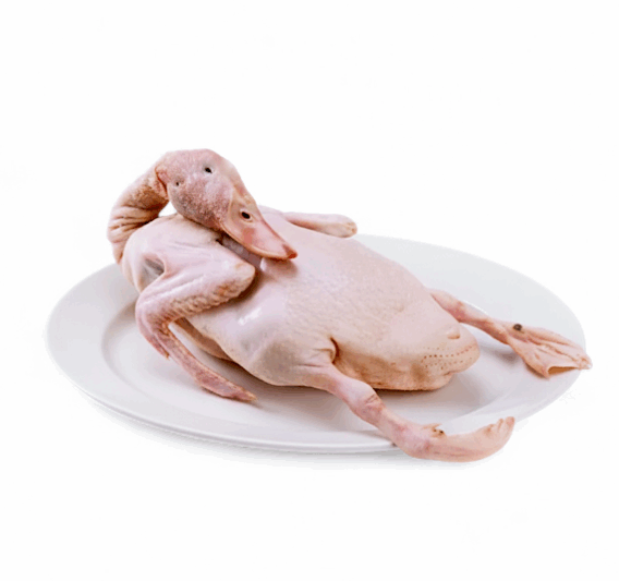 দেশী হাঁসের মাংস রেডি টু কুক প্রতি কেজি 699 টাকা_img_1