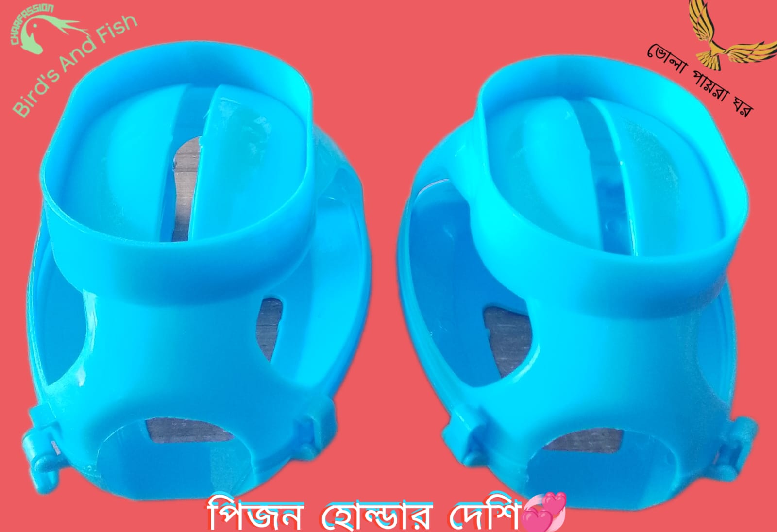 পিজন হোল্ডার ট্রিটমেন্ট বক্স