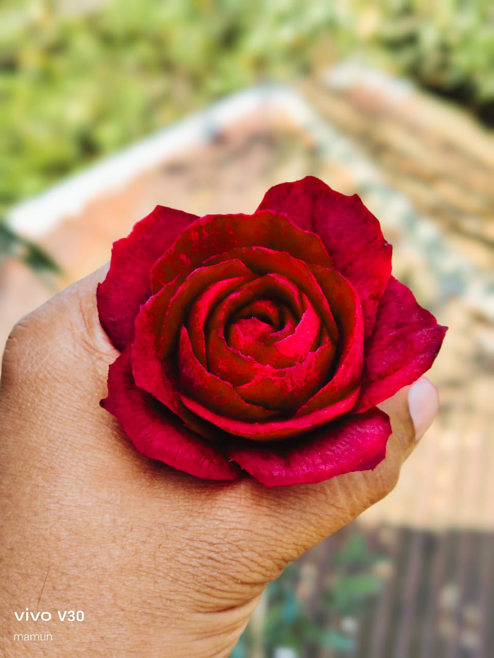 Thai Carving Tools Box 13pics with Storage Bag_img_1