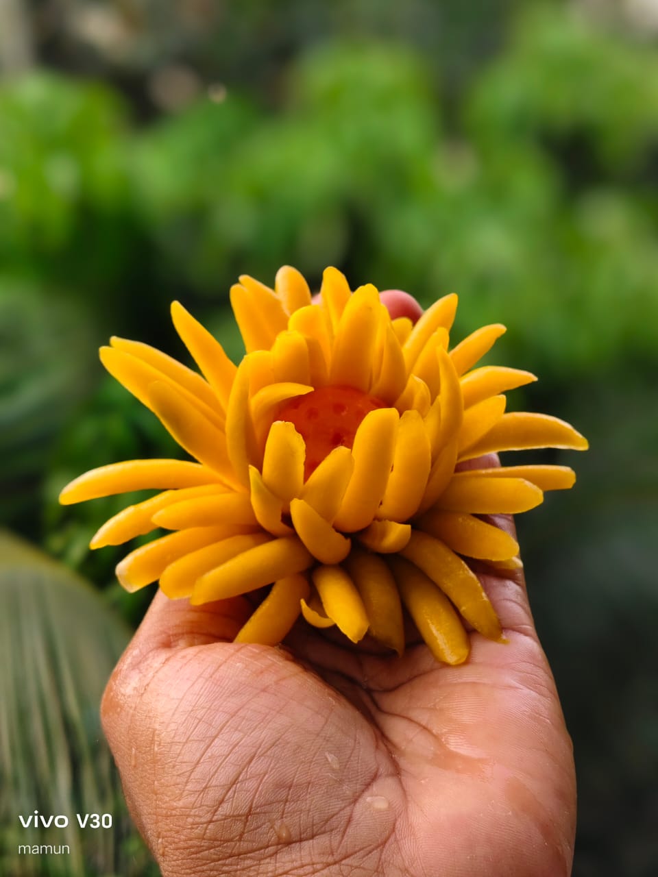 Thai Carving Tools Box 13pics with Storage Bag_img_5