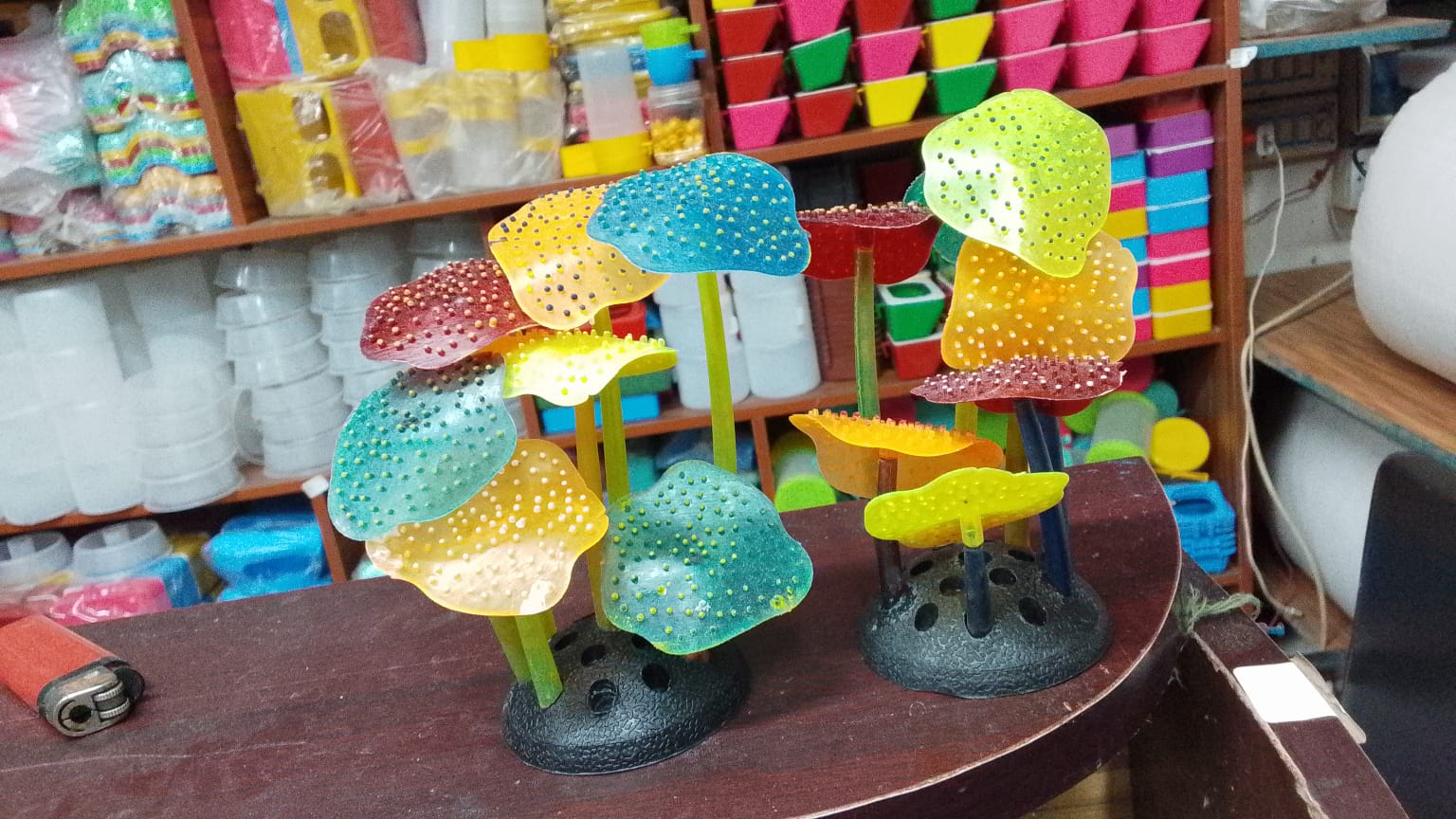 ছোট দেশী মাশরুম হলুদ