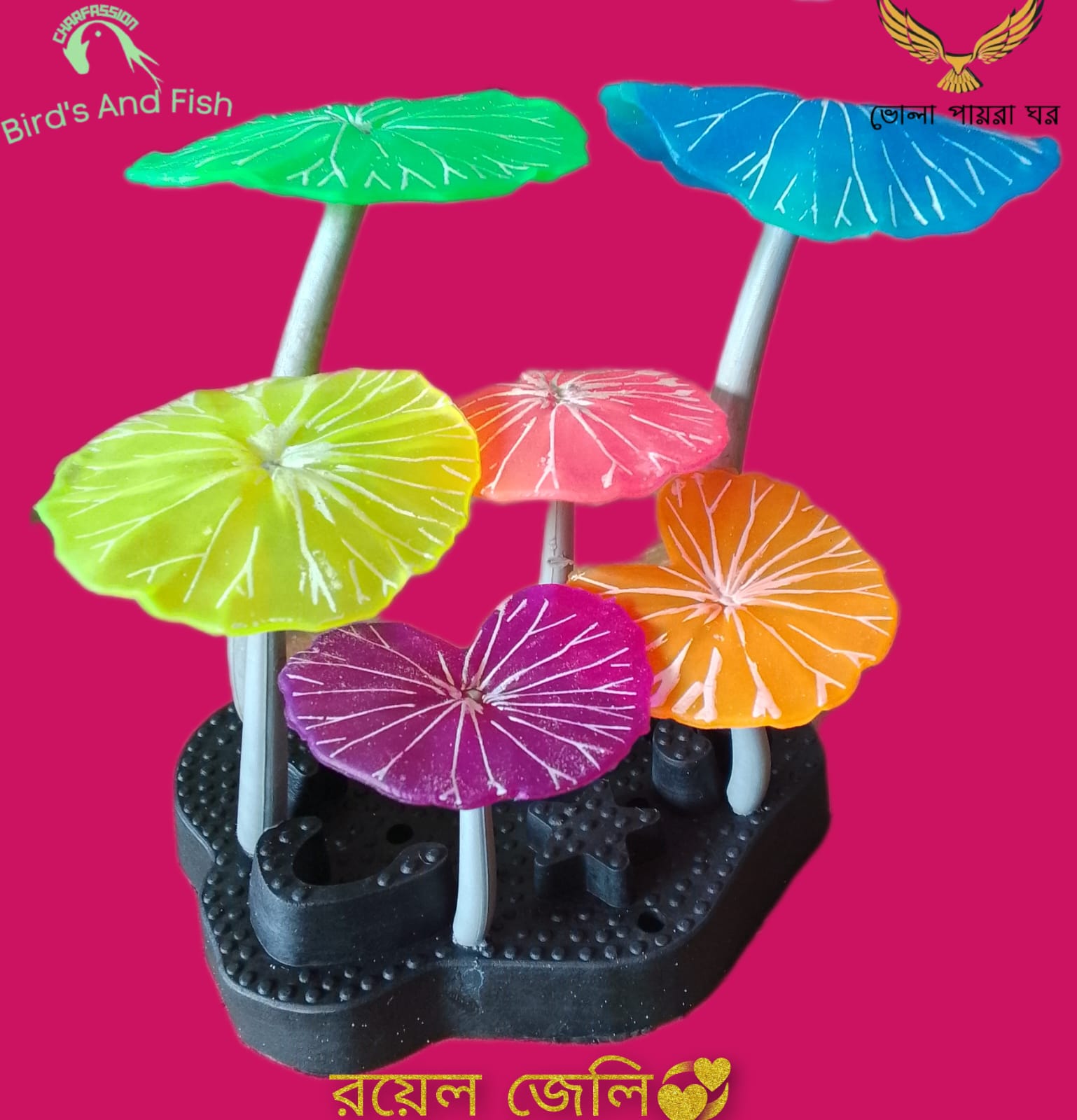 জেলি রয়েল জেলি