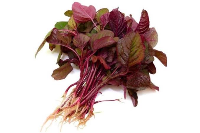 RM লাল শাক সেক্রা কালার_img_0