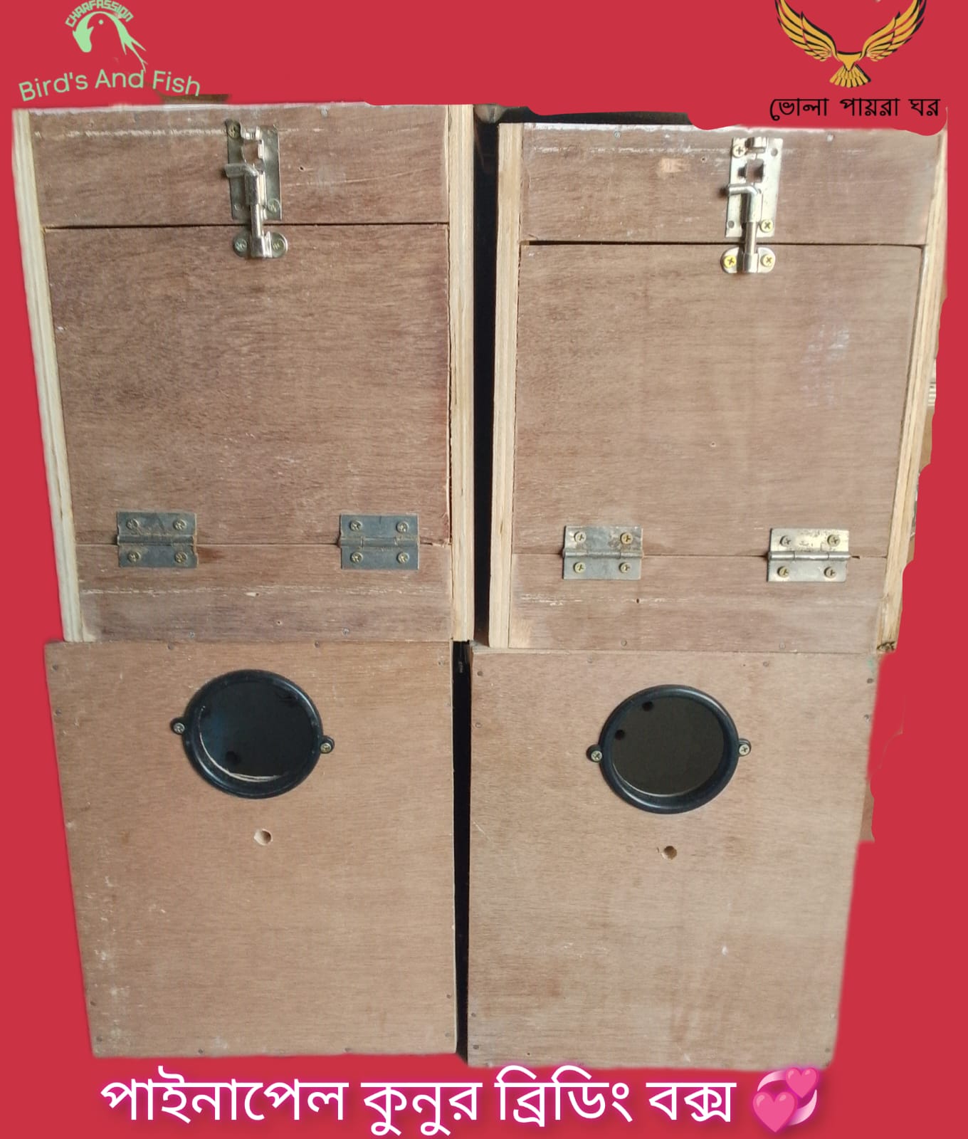 পাইনাপেল কুনুর ব্রিডিং বক্স