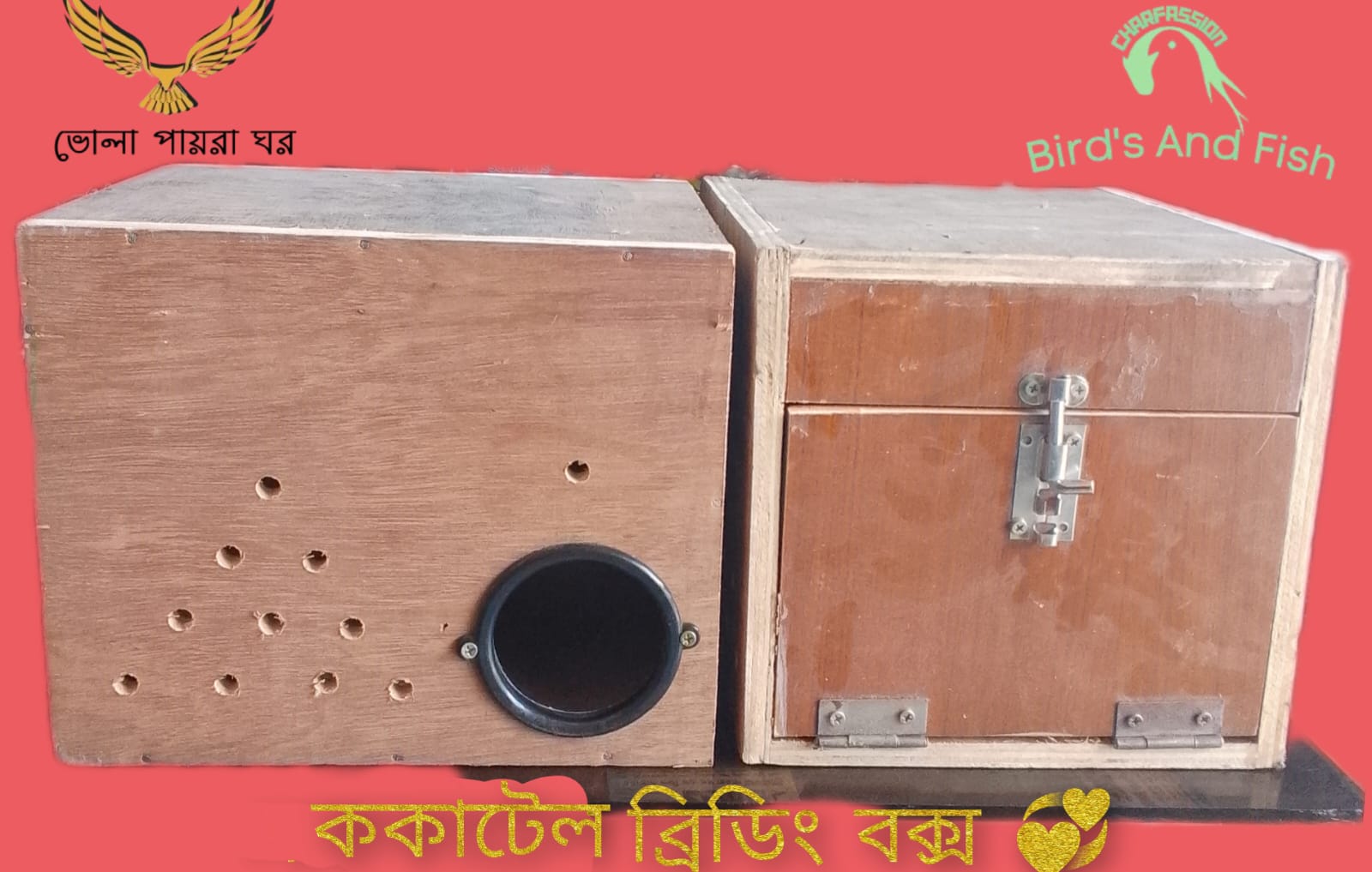 ককাটেল ব্রিডিং বক্স