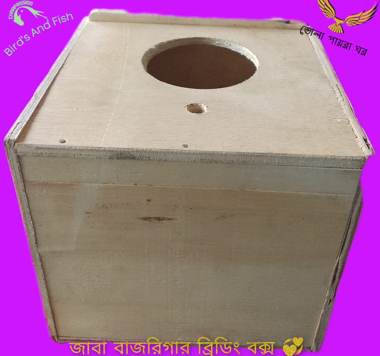 জাভা বাজরিগার ব্রিডিং বক্স