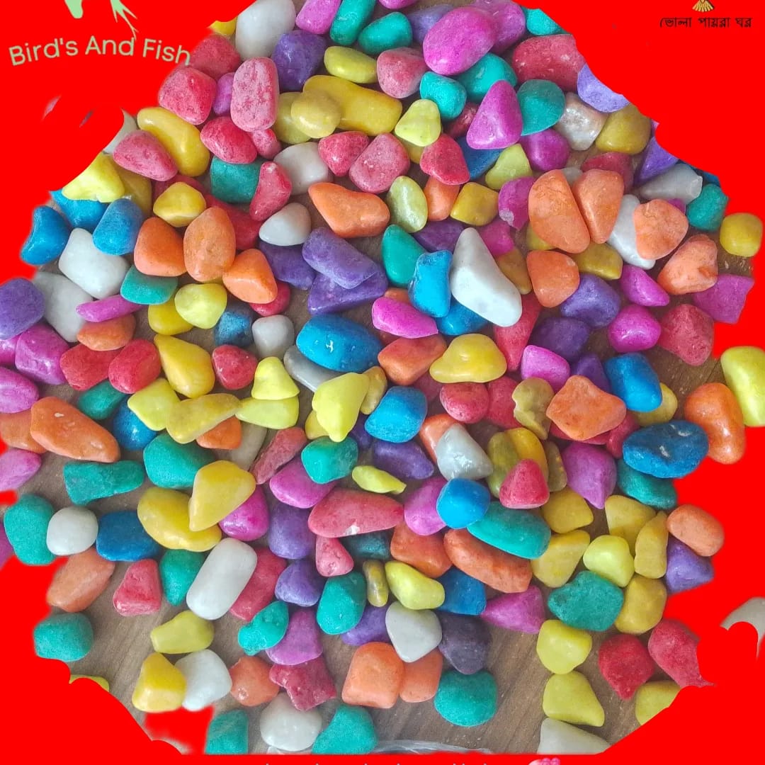 কালার পাথর চায়না কেজি_img_3