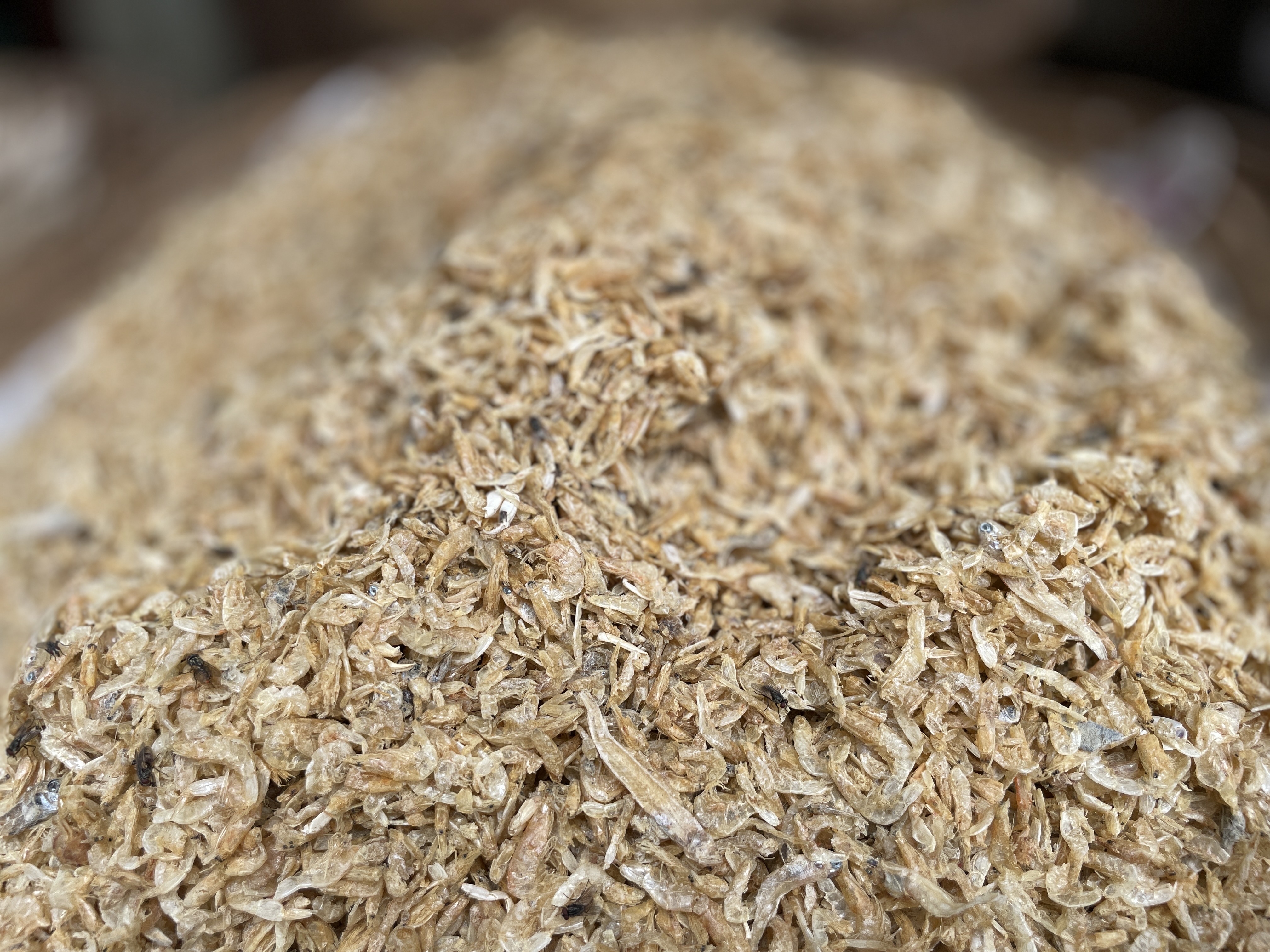 চিংড়ি শুঁটকি ছোট সাইজ (Chingri Shutki)