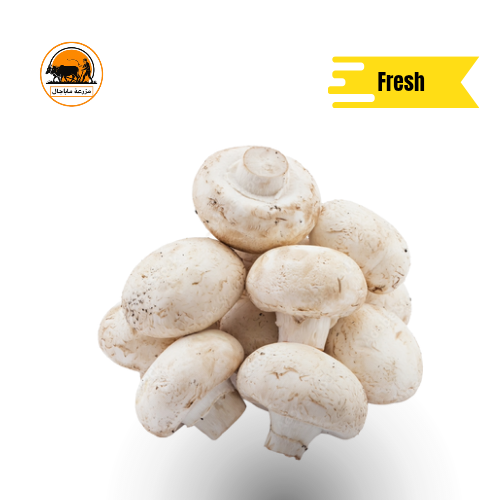 Mushroom Button White.