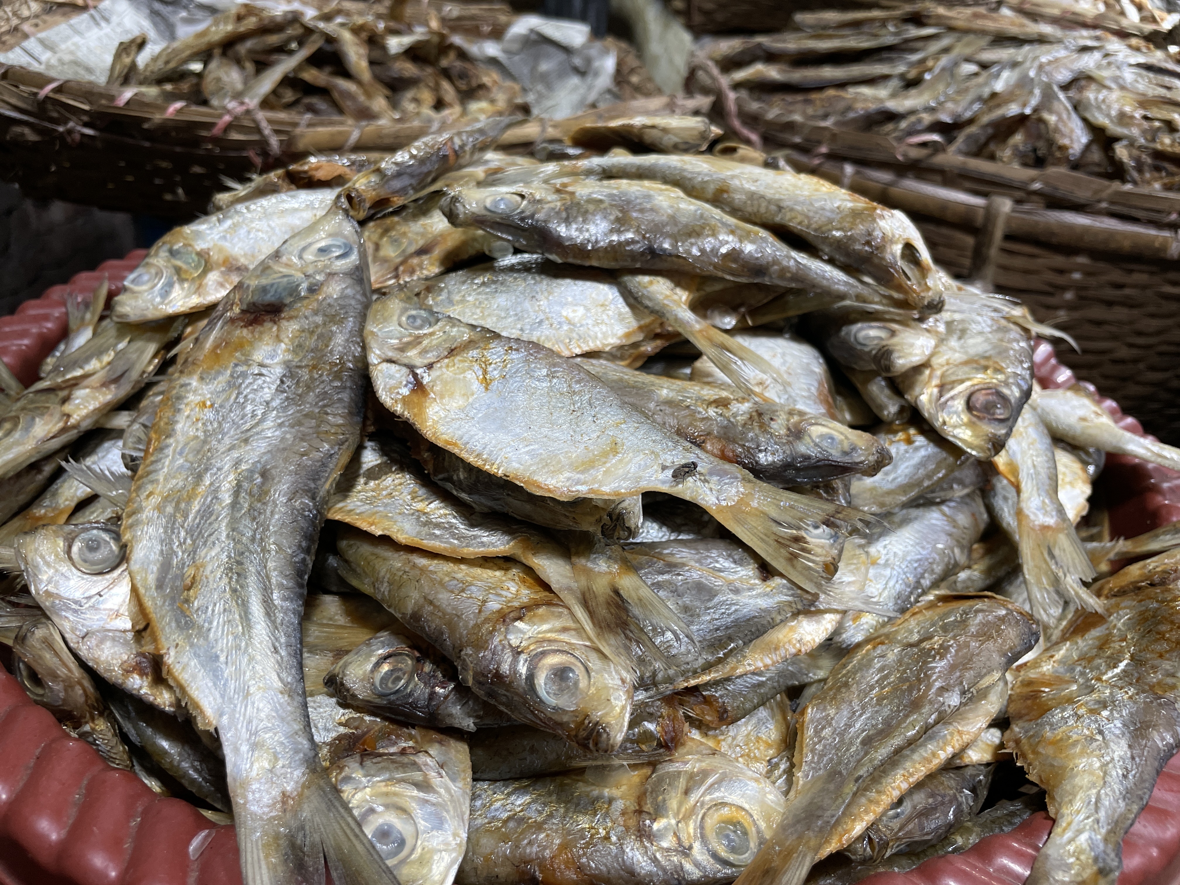 সামুদ্রিক চ্যাপা শুঁটকি ভেজা (Chepa)