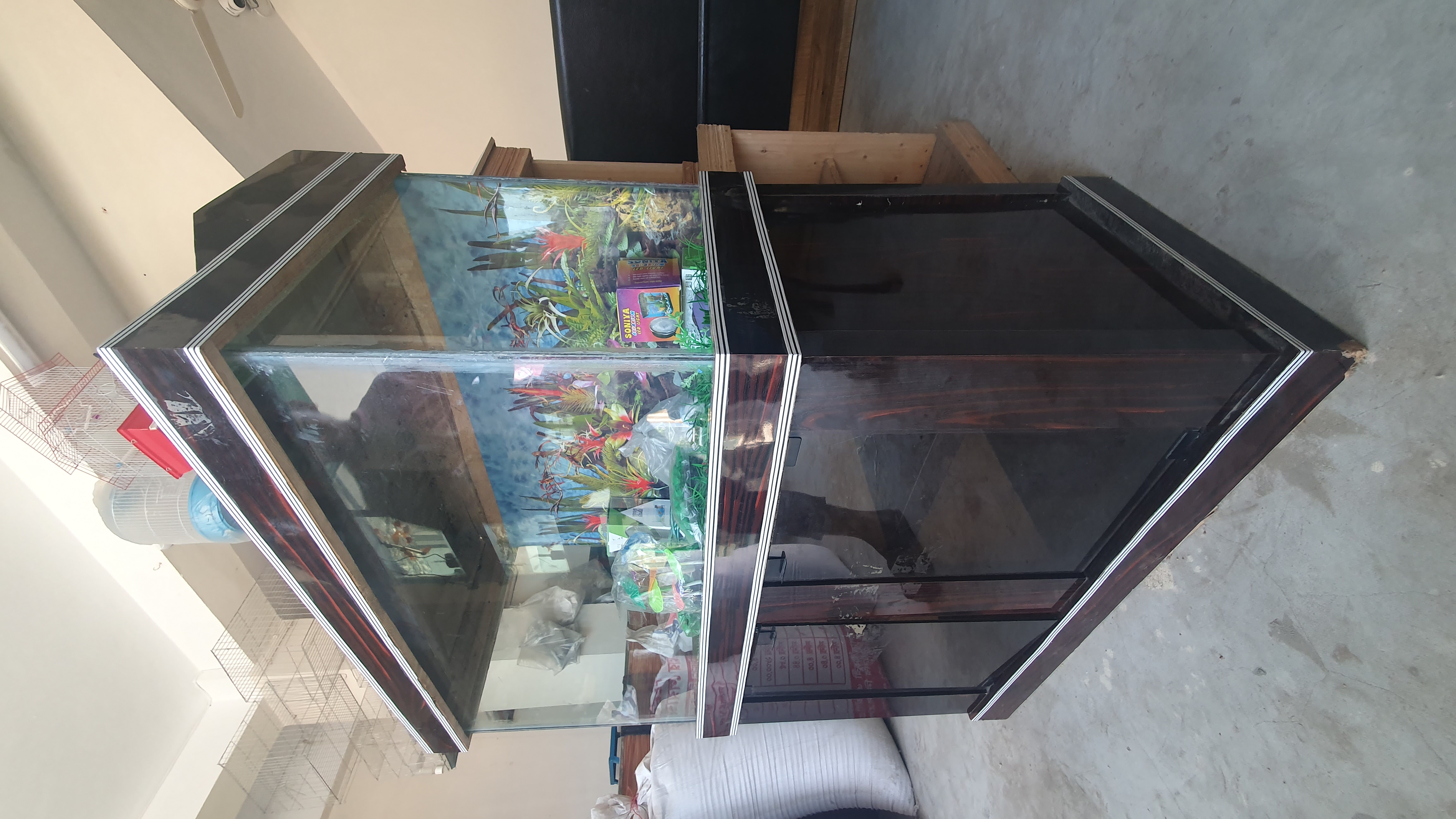 (শো) বোর্ডে একুরিয়াম সেত-আপ হোম ডেলিভারি সম্ভব না_img_3