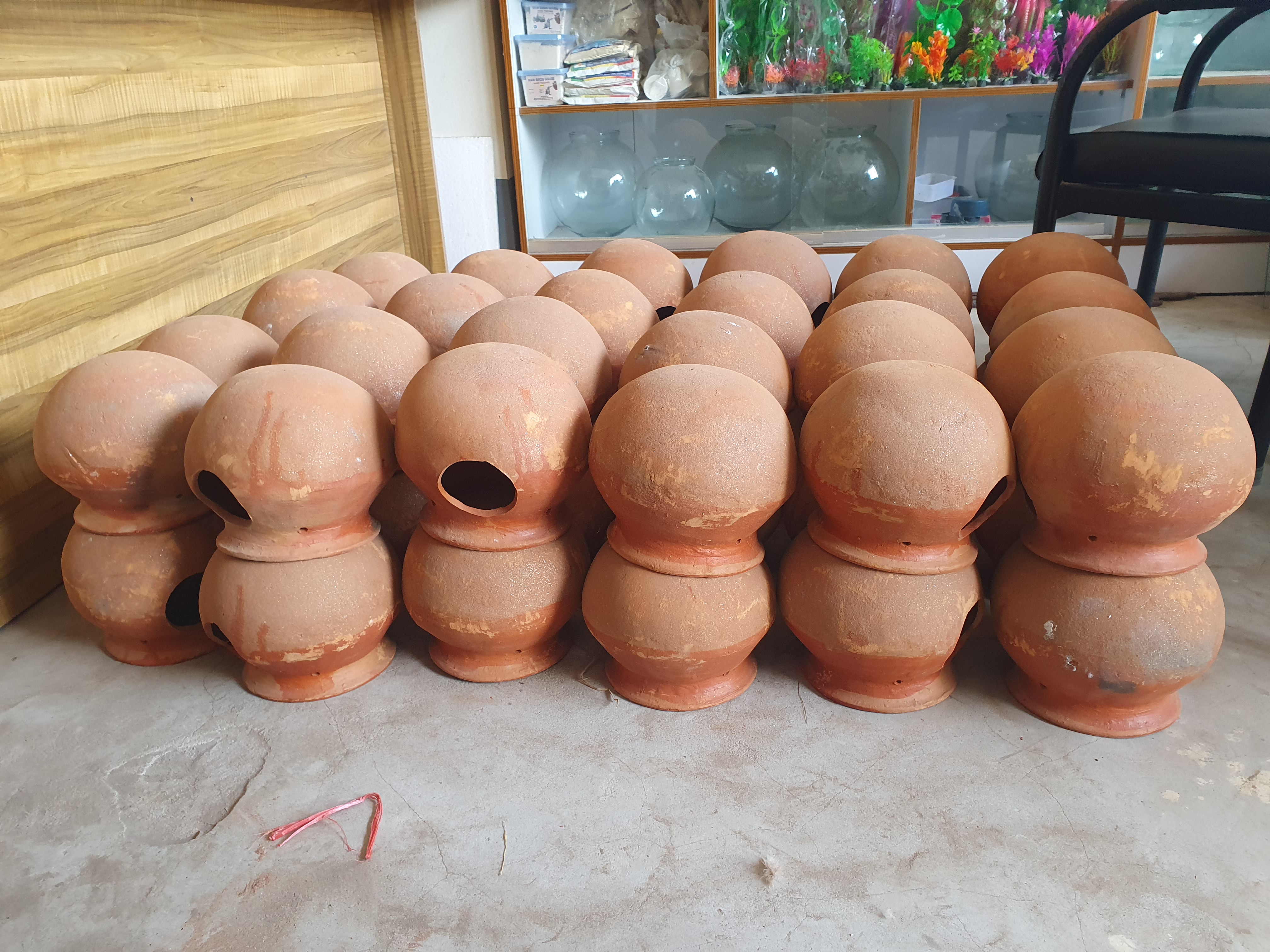 ব্রিডিং হাড়ি,  পাখির_img_2