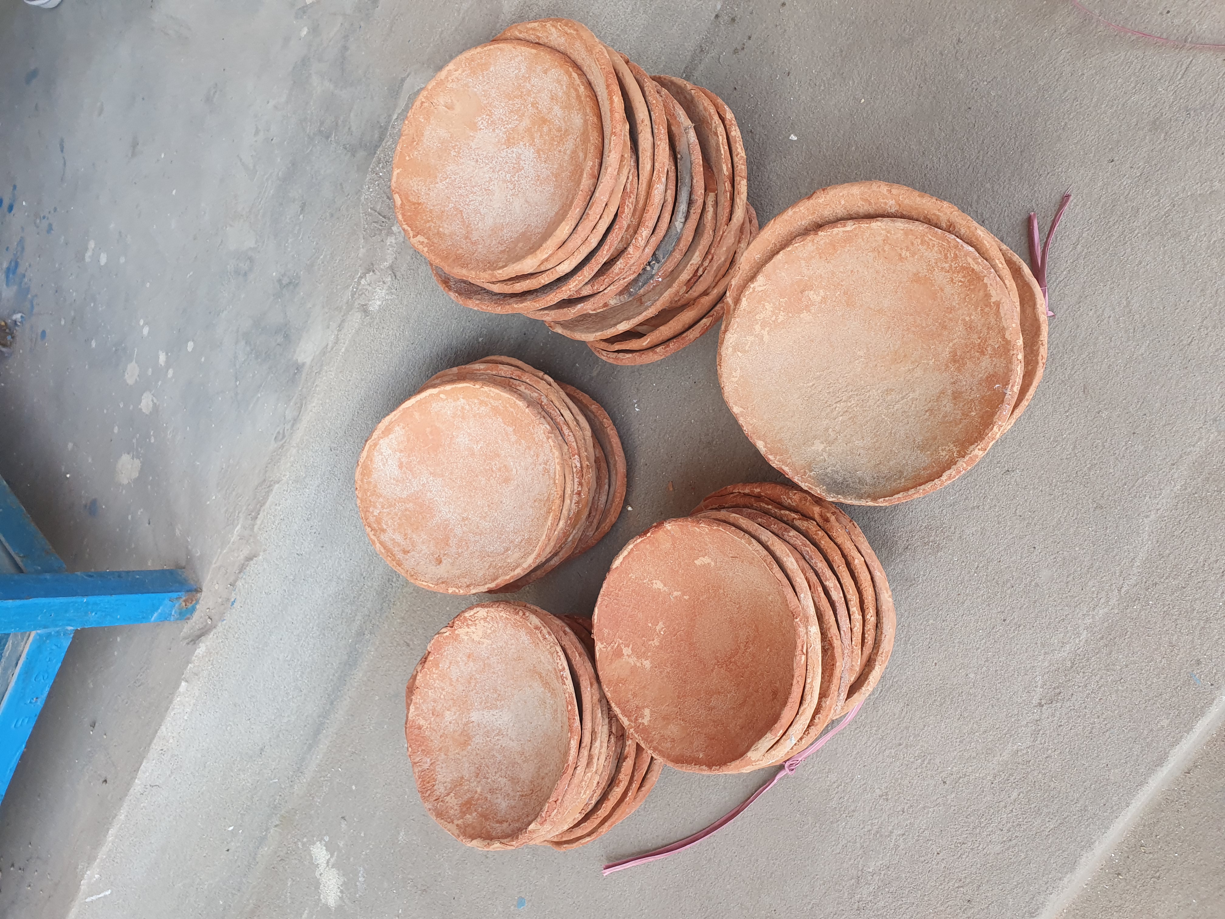 ব্রিডিং হাড়ি,  পাখির_img_4