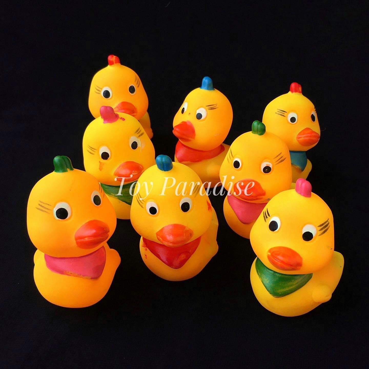 8pcs Duck Set