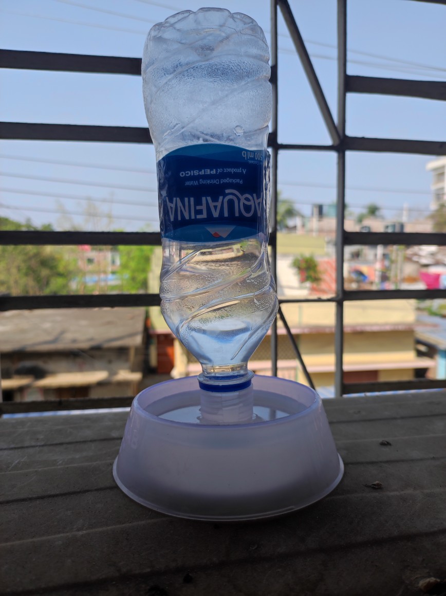 বোতল মুখ বড়_img_1