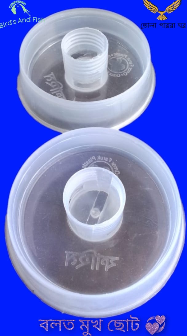 বোতল মুখ ছোট_img_1