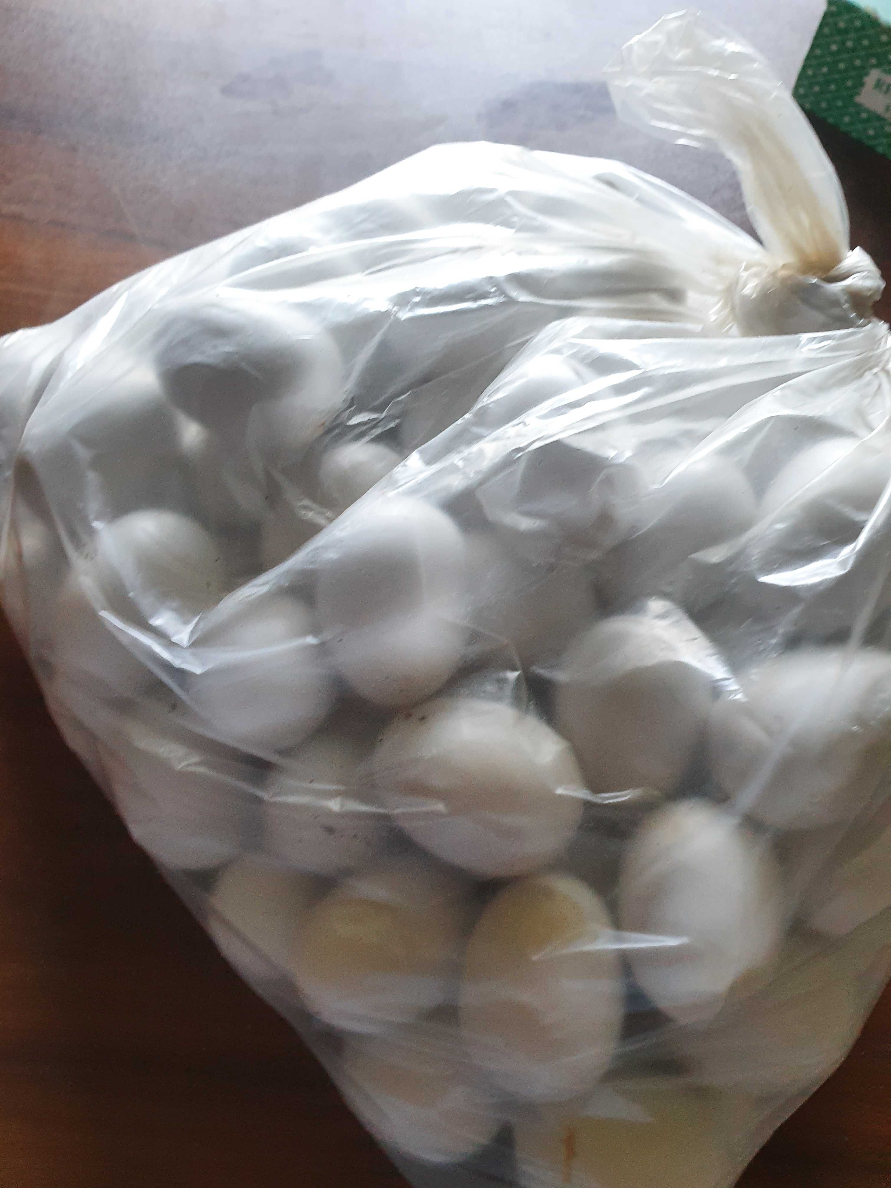 প্লাস্টিক ডিম_img_1