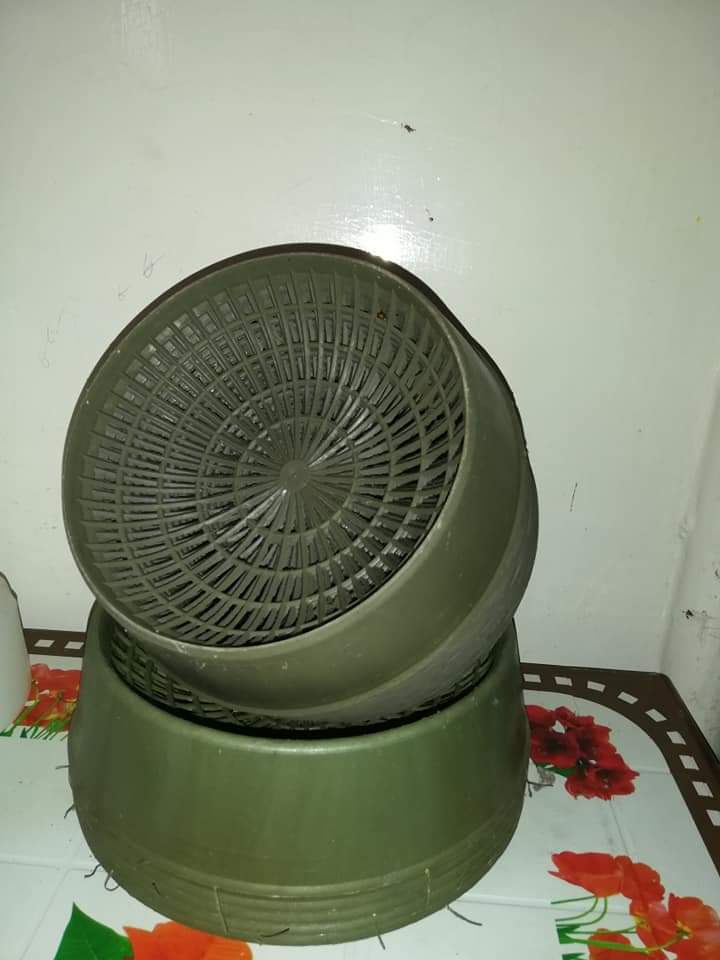 ডিমের ঝুড়ি বড়_img_1