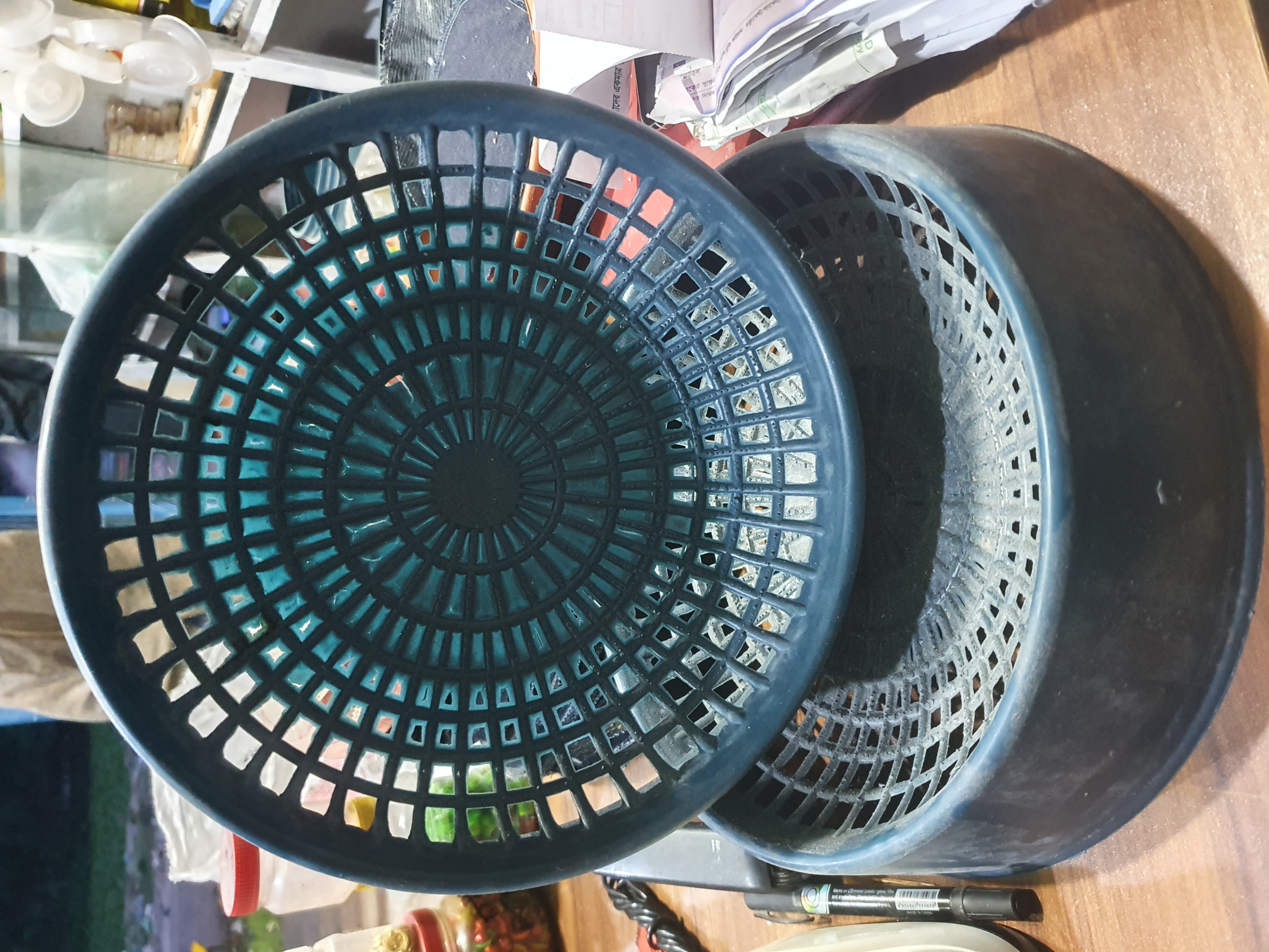 ডিমের ঝুড়ি বড়_img_2