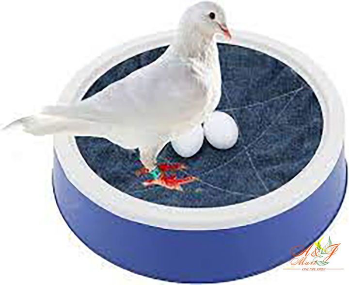 ডিমের ঝুড়ি ছোট