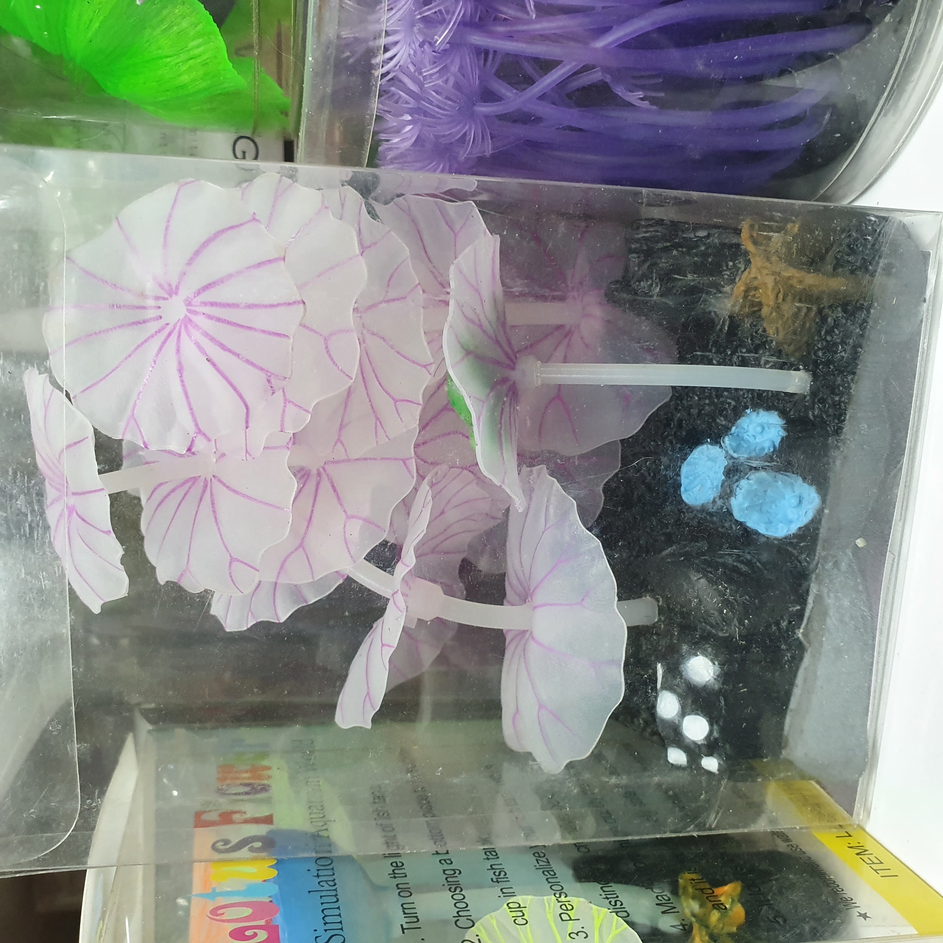 মাশরুম বক্স চায়না_img_3