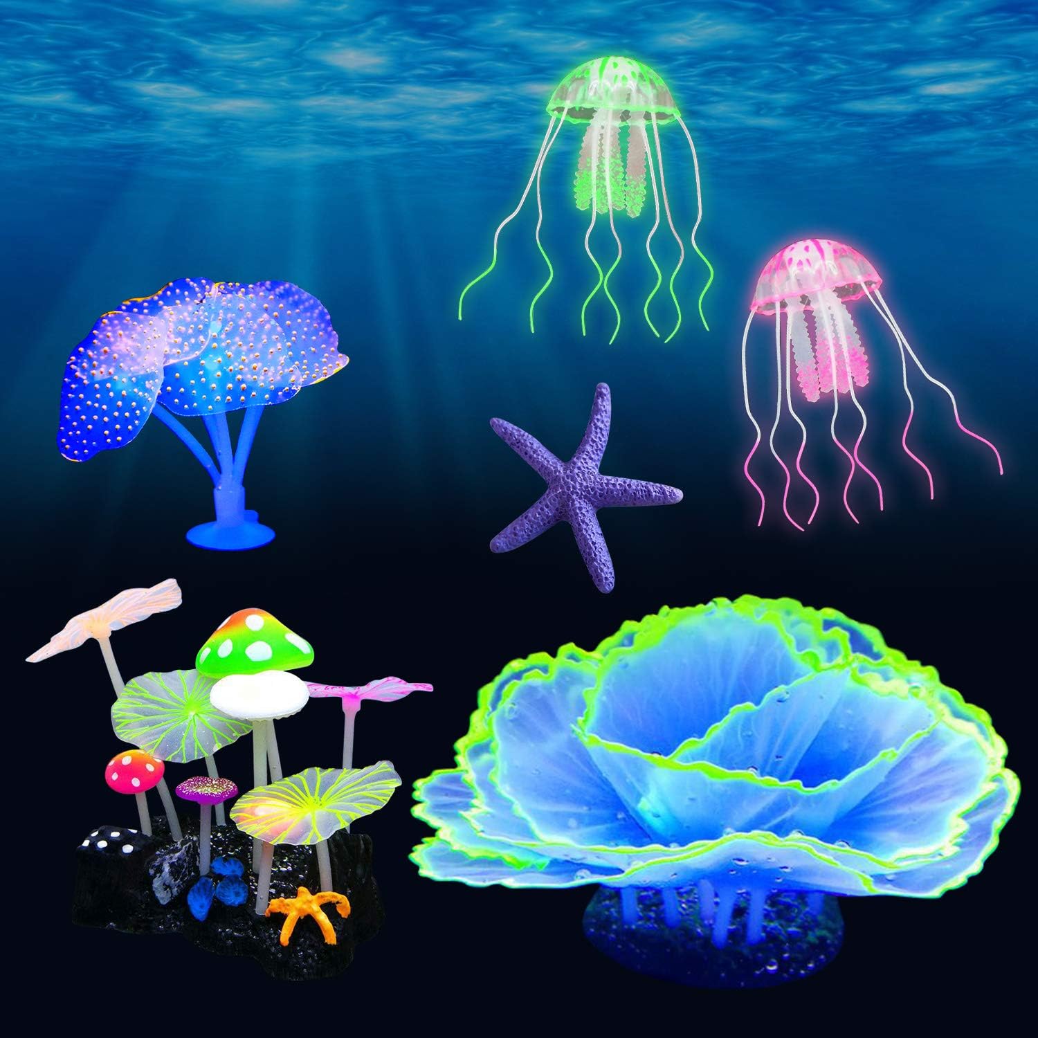 মাশরুম বক্স চায়না_img_1