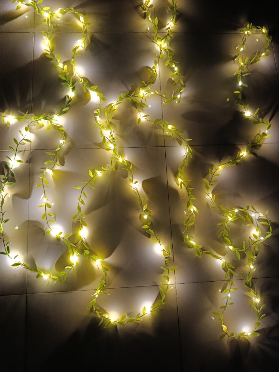 ৩৩ ফুটের মেহেদী পাতা লাইট_img_4