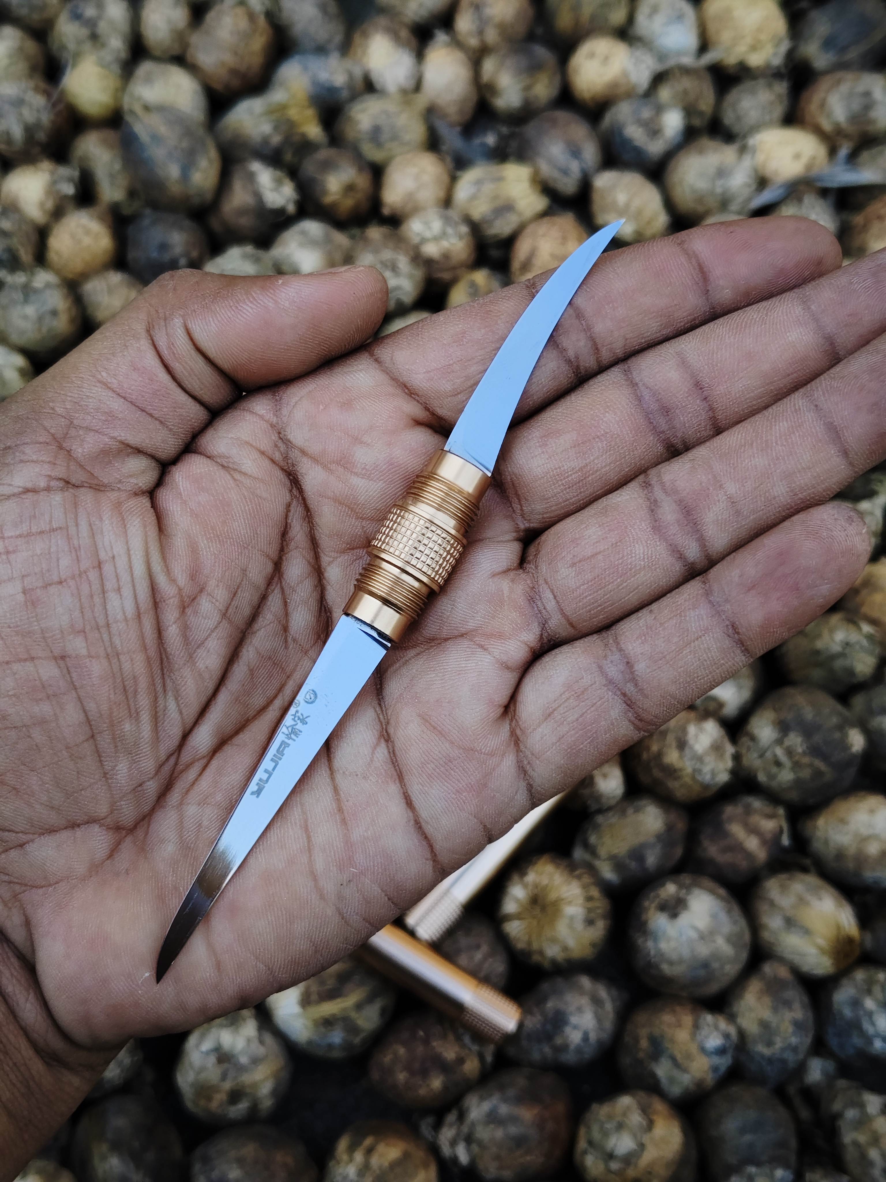 Thai Carving Knife 2in1 Blade_img_3