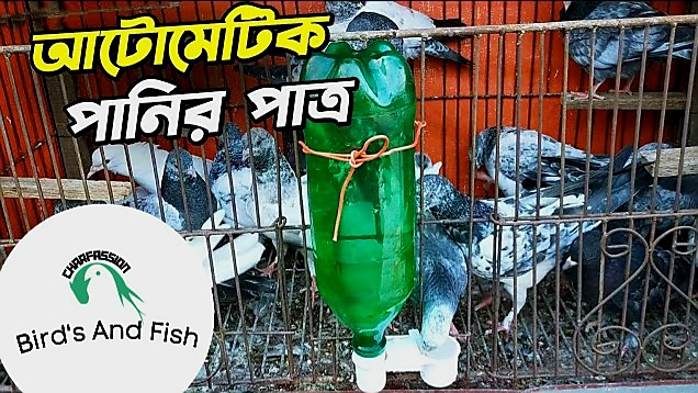 চায়না ডাবল অটোমেটিক বোতল মুখ