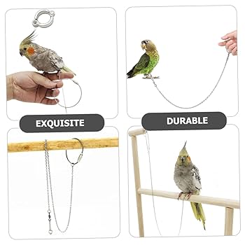 ককাটেল লক (শুধু লক)