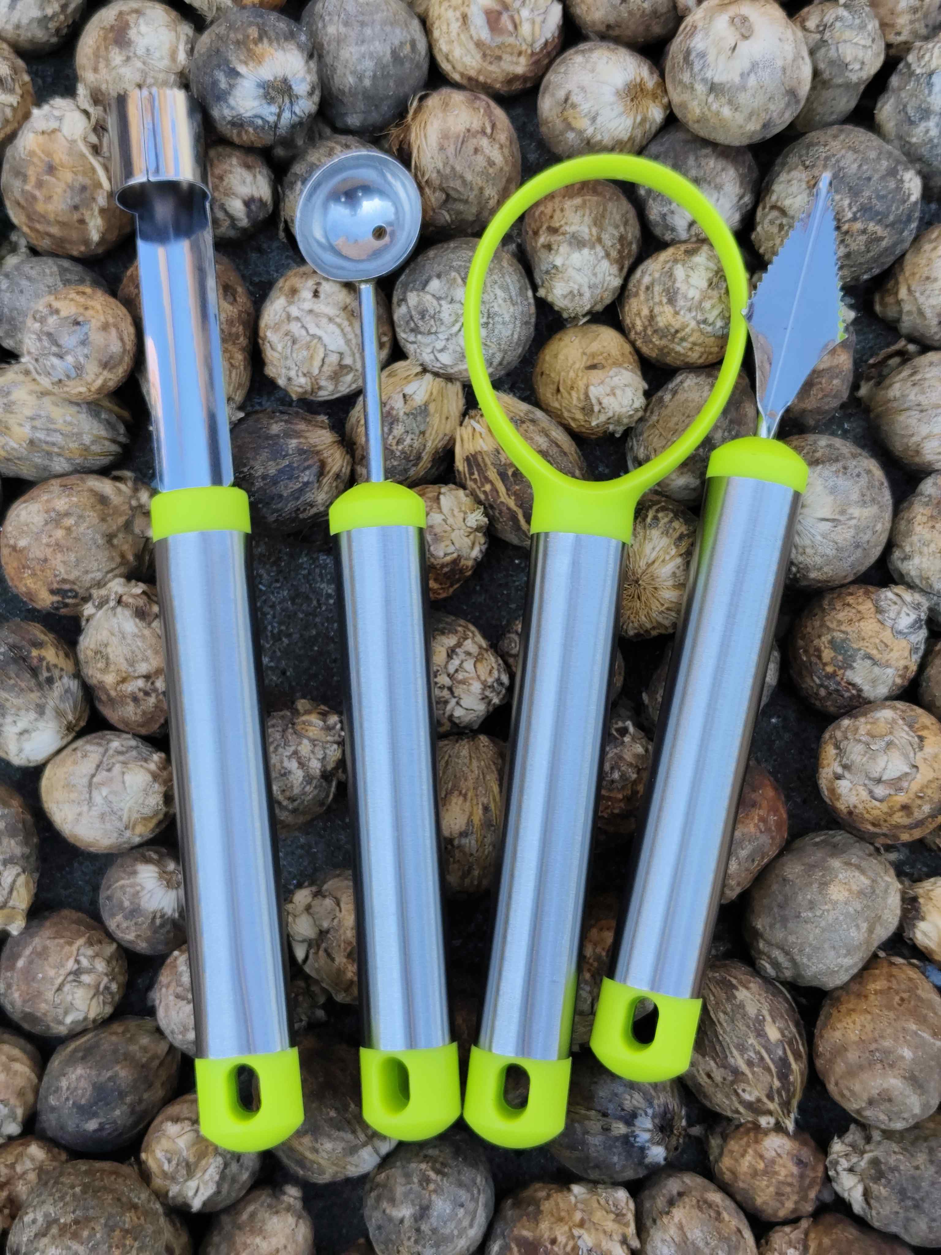 4 Piece Fruit Carving Tools