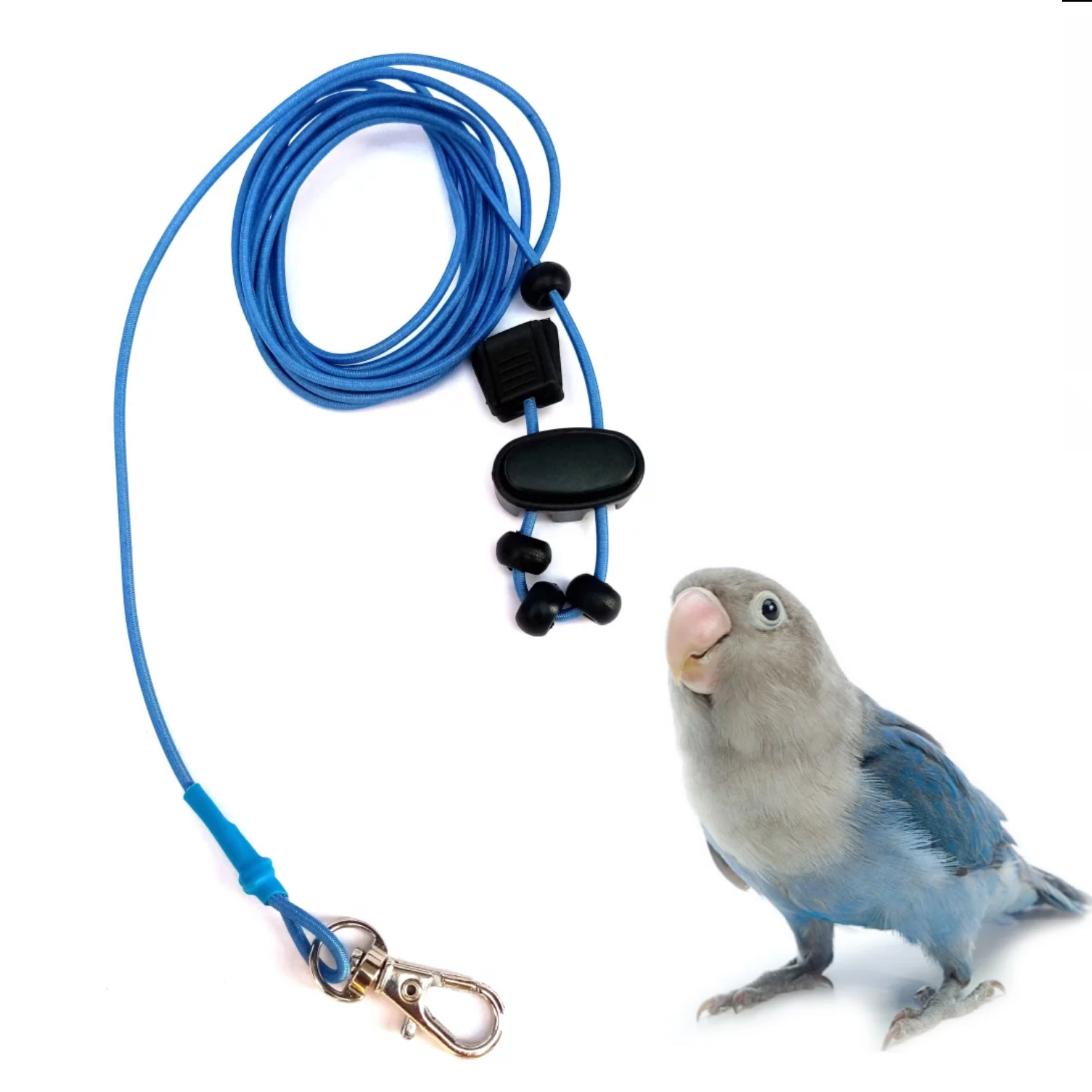 লাভবার্ড'স লক (শুধু লক)