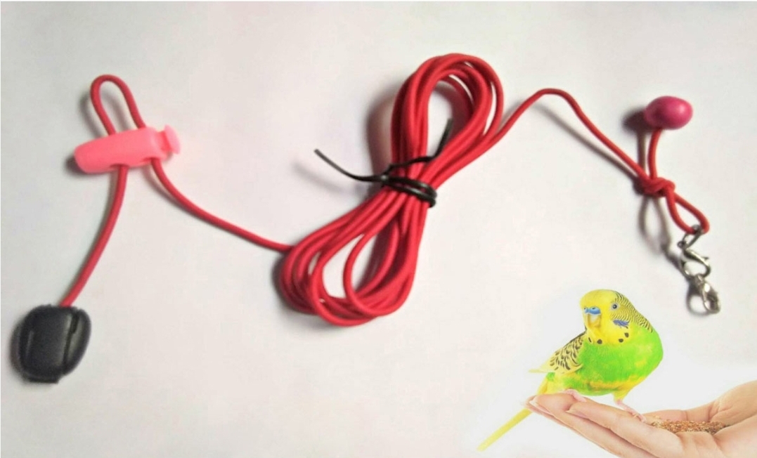 বাজরিগার লক (শুধু লক)