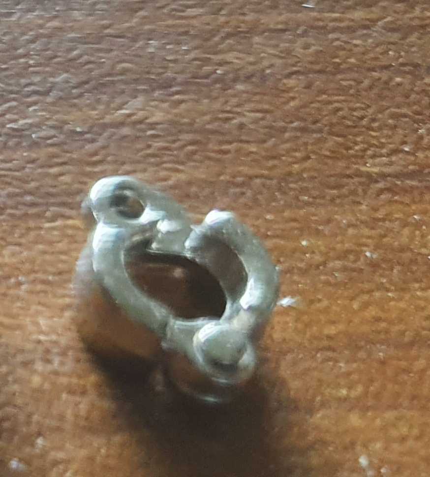 বাজরিগার লক (শুধু লক)_img_2