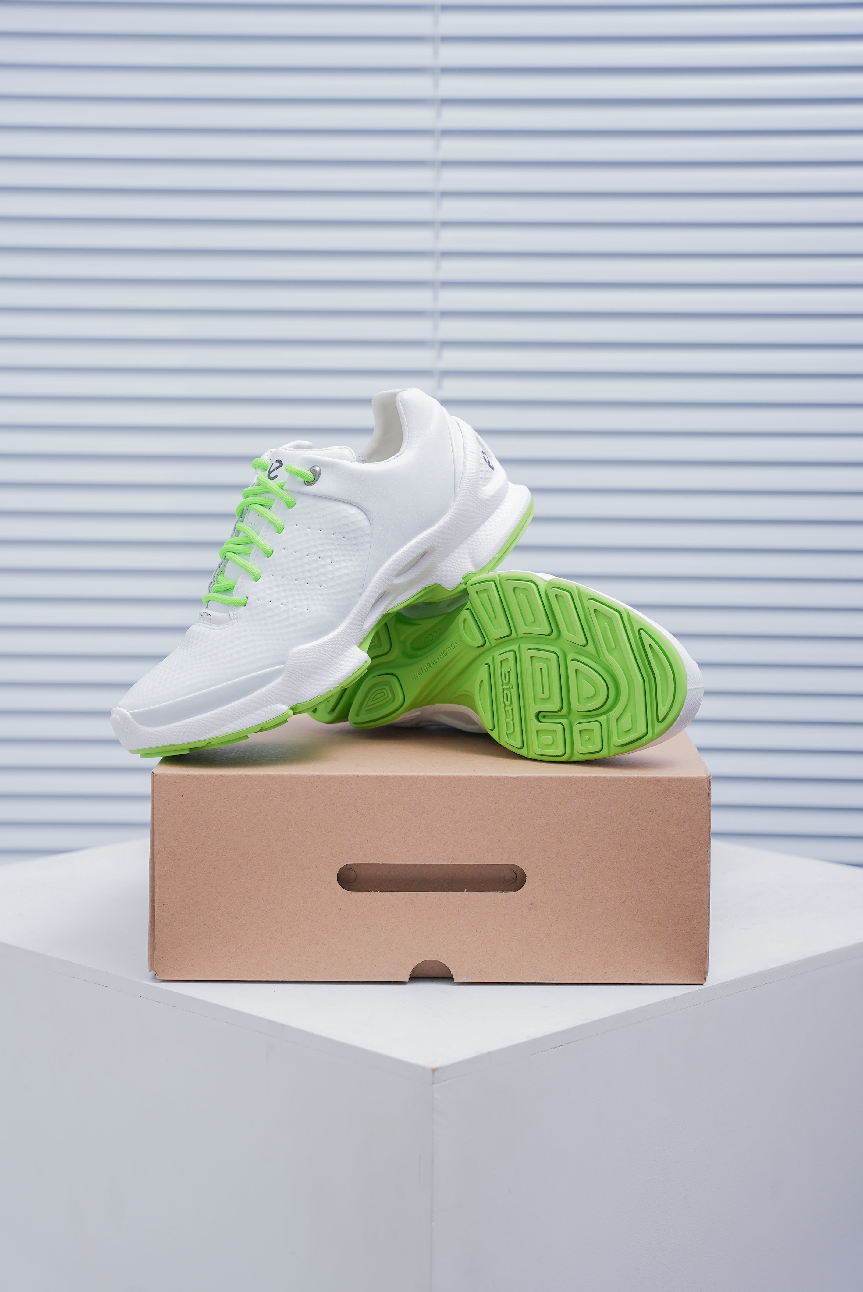 ECCO BIOM C-TRAIL(1:1)_img_0