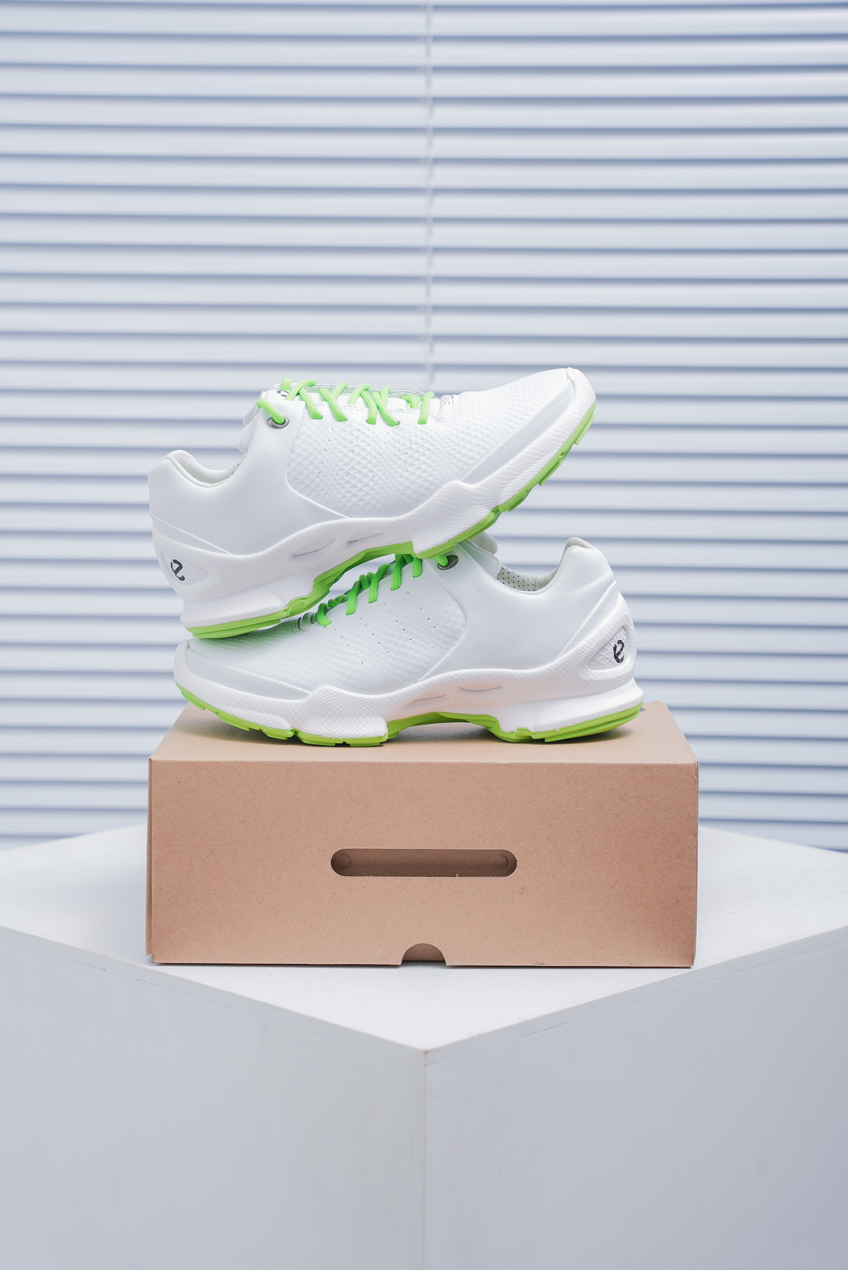 ECCO BIOM C-TRAIL(1:1)_img_1