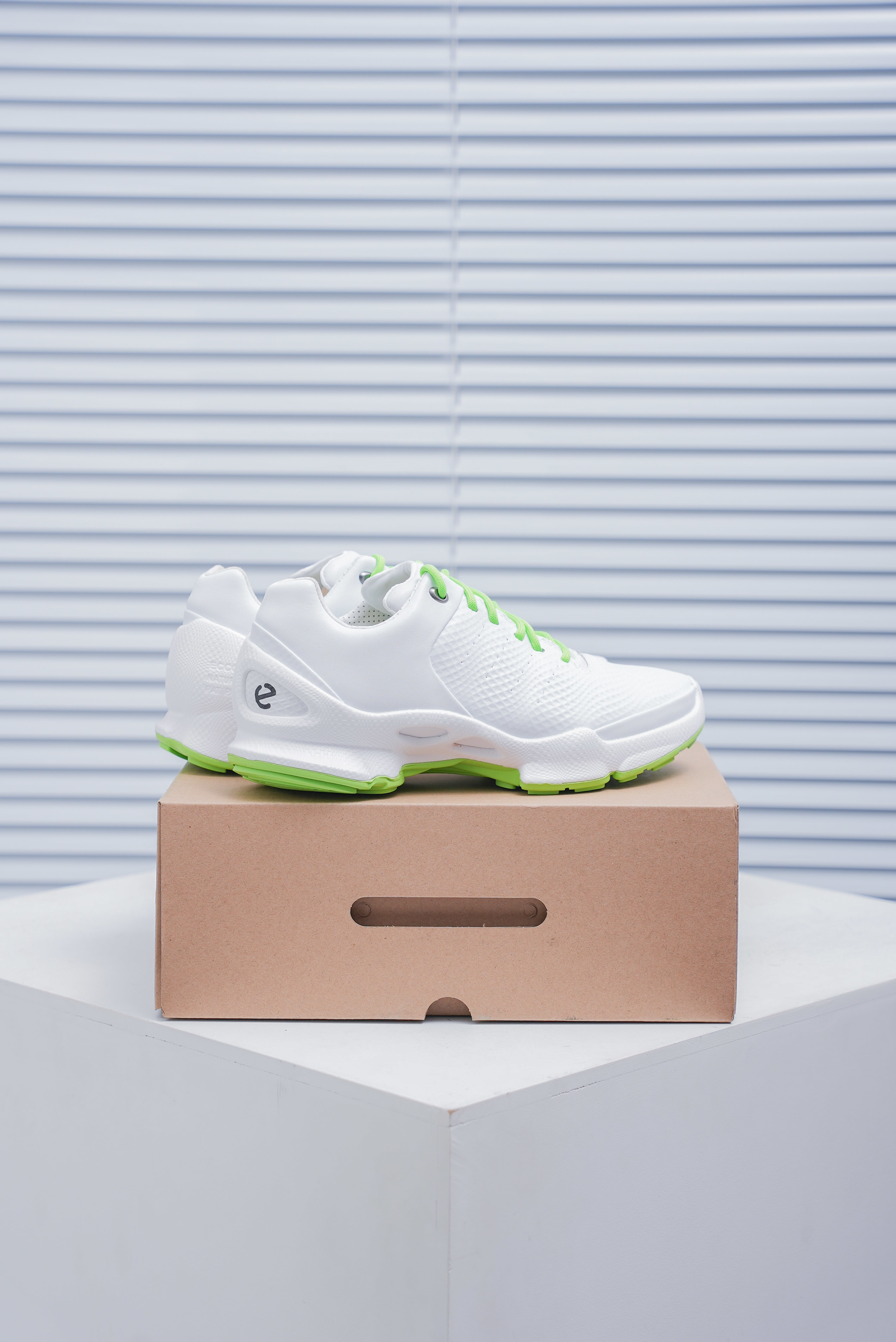 ECCO BIOM C-TRAIL(1:1)_img_3